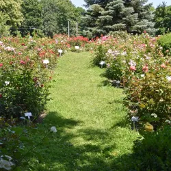 Botanical Garden of Hradec Králové - Hradec Kralove