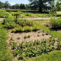 Botanical Garden of Hradec Králové - Hradec Kralove