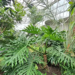 Botanical Garden of Hradec Králové - Hradec Kralove