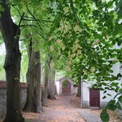 Church of the Assumption of the Virgin Mary - Hranice na Morave