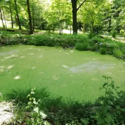 Hranice Botanical Garden - Hranice na Morave