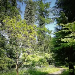 Hranice Botanical Garden - Hranice na Morave