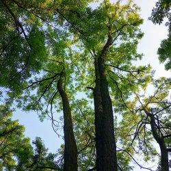 Hranice Botanical Garden - Hranice na Morave