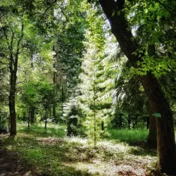 Hranice Botanical Garden - Hranice na Morave