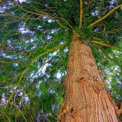 Hranice Botanical Garden - Hranice na Morave