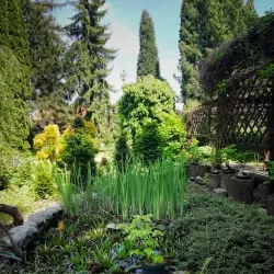 Hranice Botanical Garden - Hranice na Morave