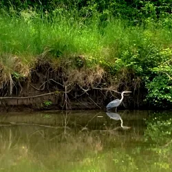 Morava River Walk - Hranice na Morave