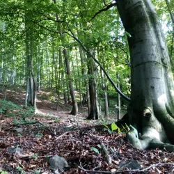 Přírodní park Hranicko - Hranice na Morave