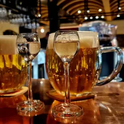 Humpolec Brewery Museum - Humpolec