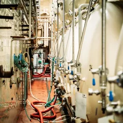 Humpolec Brewery Museum - Humpolec