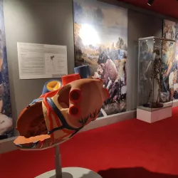 Humpolec Regional Museum - Humpolec