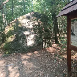 Nature Trails around Humpolec - Humpolec