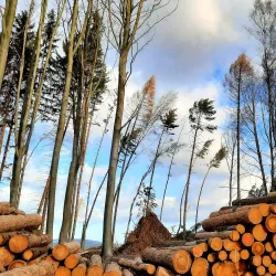 Nature Trails around Humpolec - Humpolec