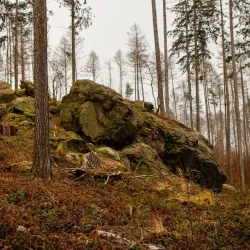 Nature Trails around Humpolec - Humpolec