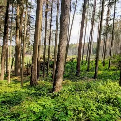Nature Trails around Humpolec - Humpolec