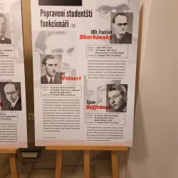 Jihlava Town Hall - Jihlava