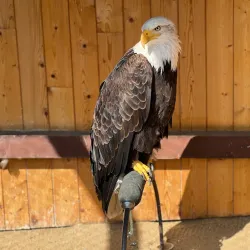 Jihlava Zoo - Jihlava