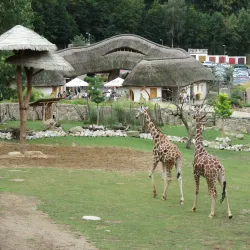 Jihlava Zoo - Jihlava