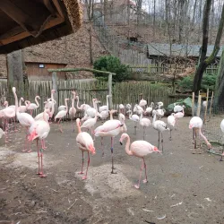 Jihlava Zoo - Jihlava