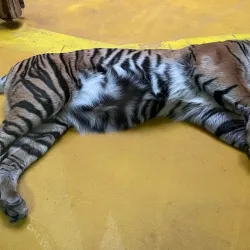 Jihlava Zoo - Jihlava