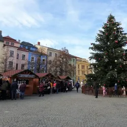 Vysočina Museum Jihlava - Jihlava