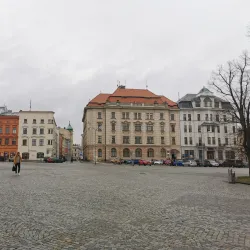 Vysočina Museum Jihlava - Jihlava