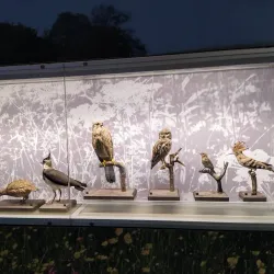 Vysočina Museum Jihlava - Jihlava