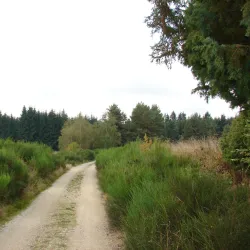 Hradec nad Sazavou Nature Park - Jindrichuv Hradec