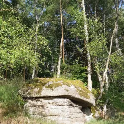 Hradec nad Sazavou Nature Park - Jindrichuv Hradec
