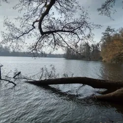 Pond Vajgar - Jindrichuv Hradec