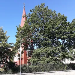Church of the Assumption of the Virgin Mary - Kadaň