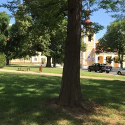 St. Procopius Church - Kadaň