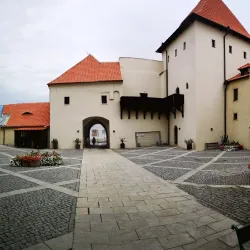 Synagogue in Kadaň - Kadaň