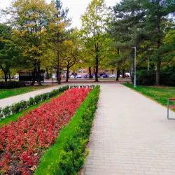 Darkov Spa - Karviná