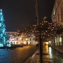 Karviná Castle (Zámek Fryštát) - Karviná