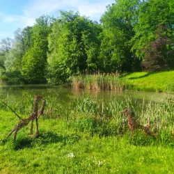 Karviná City Park - Karviná