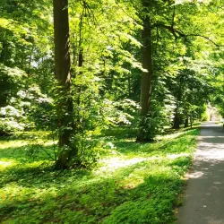 Karviná City Park - Karviná