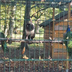 Ráj Park - Karviná