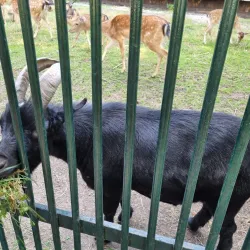 Ráj Park - Karviná