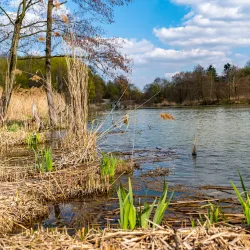 Church of St. Peter and Paul - Karvina