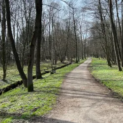 Nature Reserve Bažantnice - Karvina