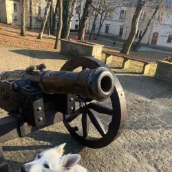 Nature Reserve Bažantnice - Karvina