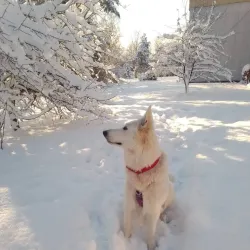 Nature Reserve Bažantnice - Karvina