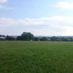 Nature Reserve Bažantnice - Karvina