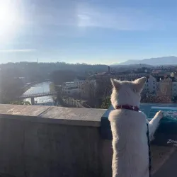 Nature Reserve Bažantnice - Karvina