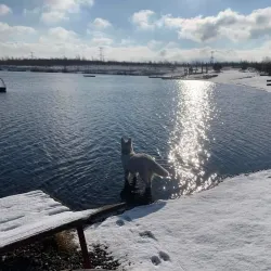 Nature Reserve Bažantnice - Karvina