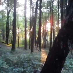 Nature Reserve Bažantnice - Karvina