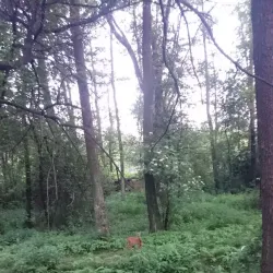 Nature Reserve Bažantnice - Karvina