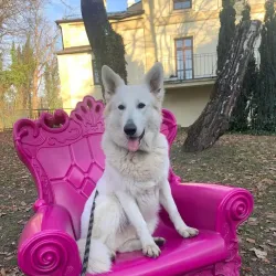 Nature Reserve Bažantnice - Karvina