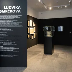 Local Art Galleries - Kladno